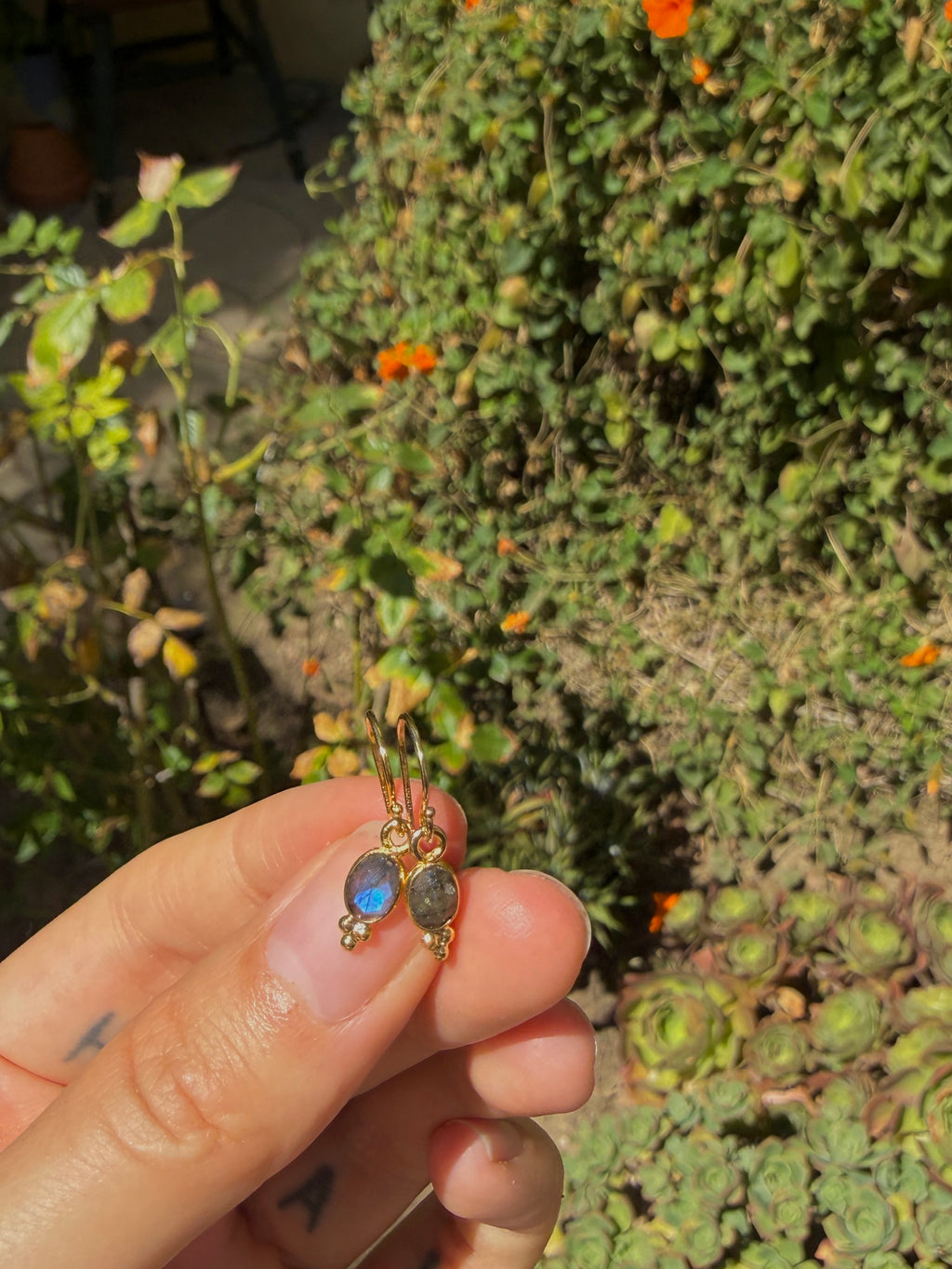 Mini Labradorite Earrings ~ Higher Consciousness & Energy Protection